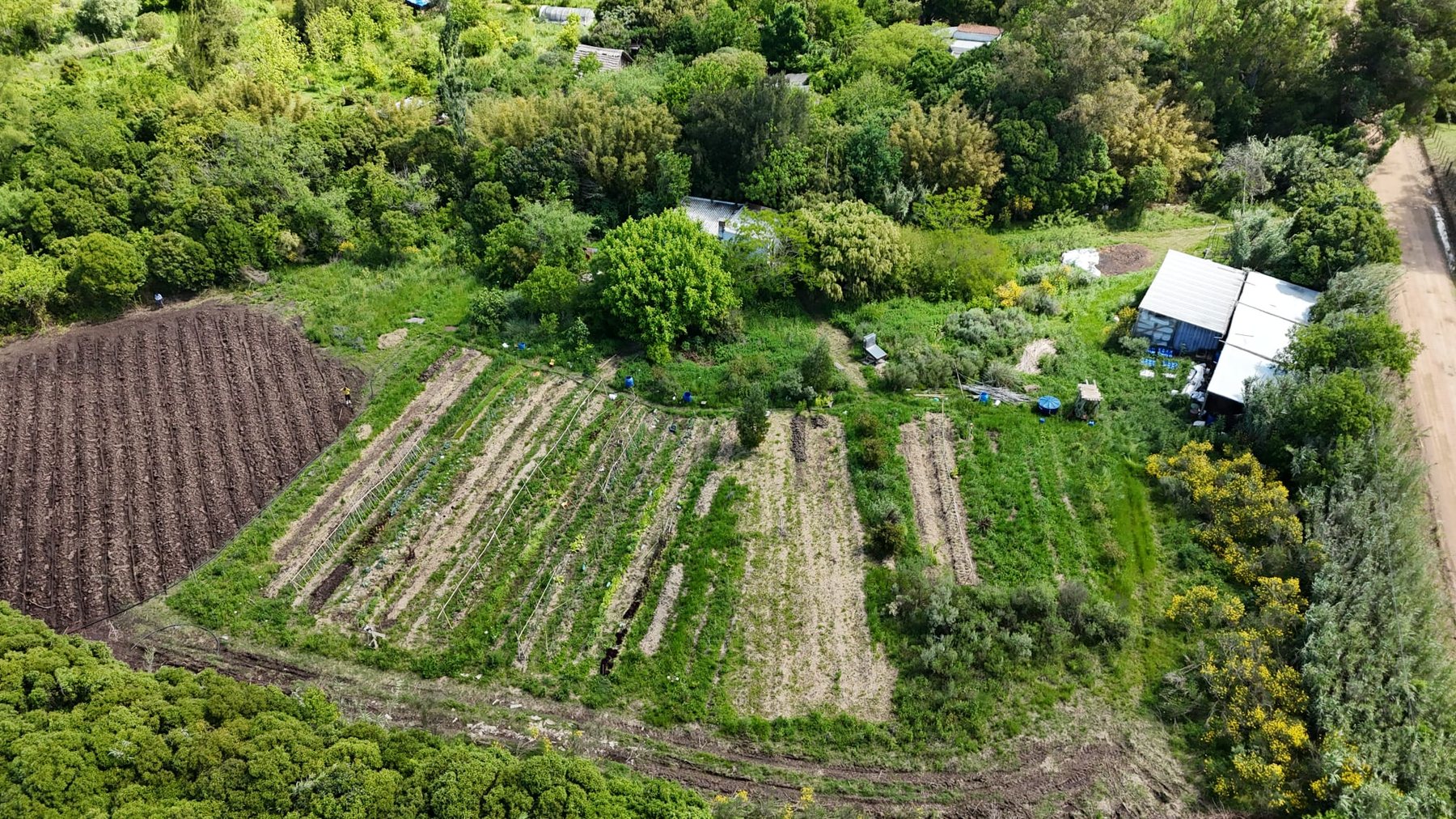 Vista aérea de producción y territorio