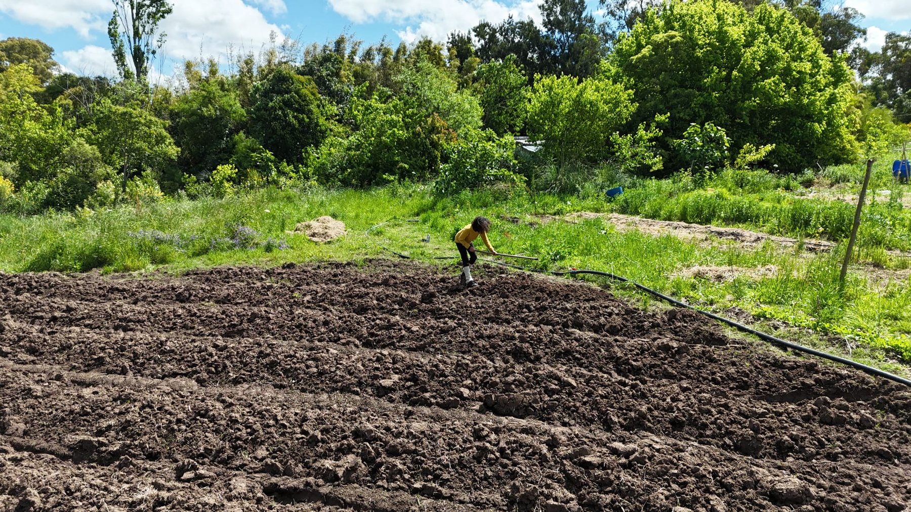 Trabajo con suelo vivo