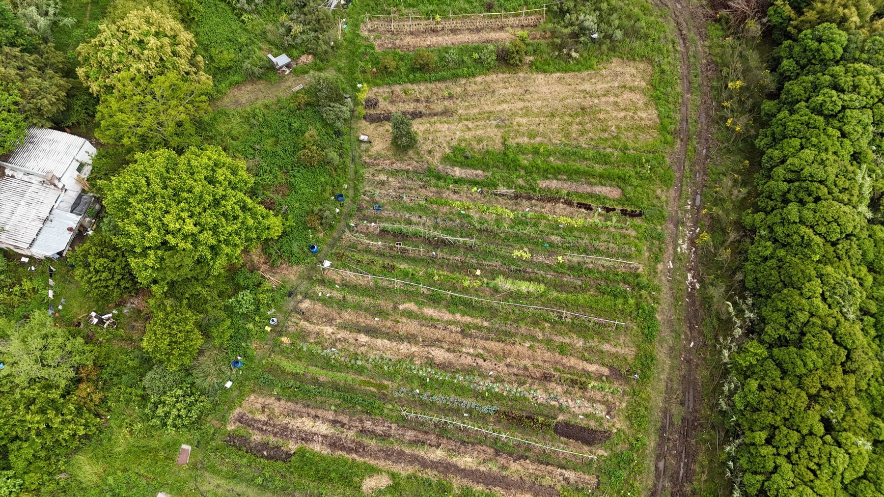Vista aérea de huerta regenerativa