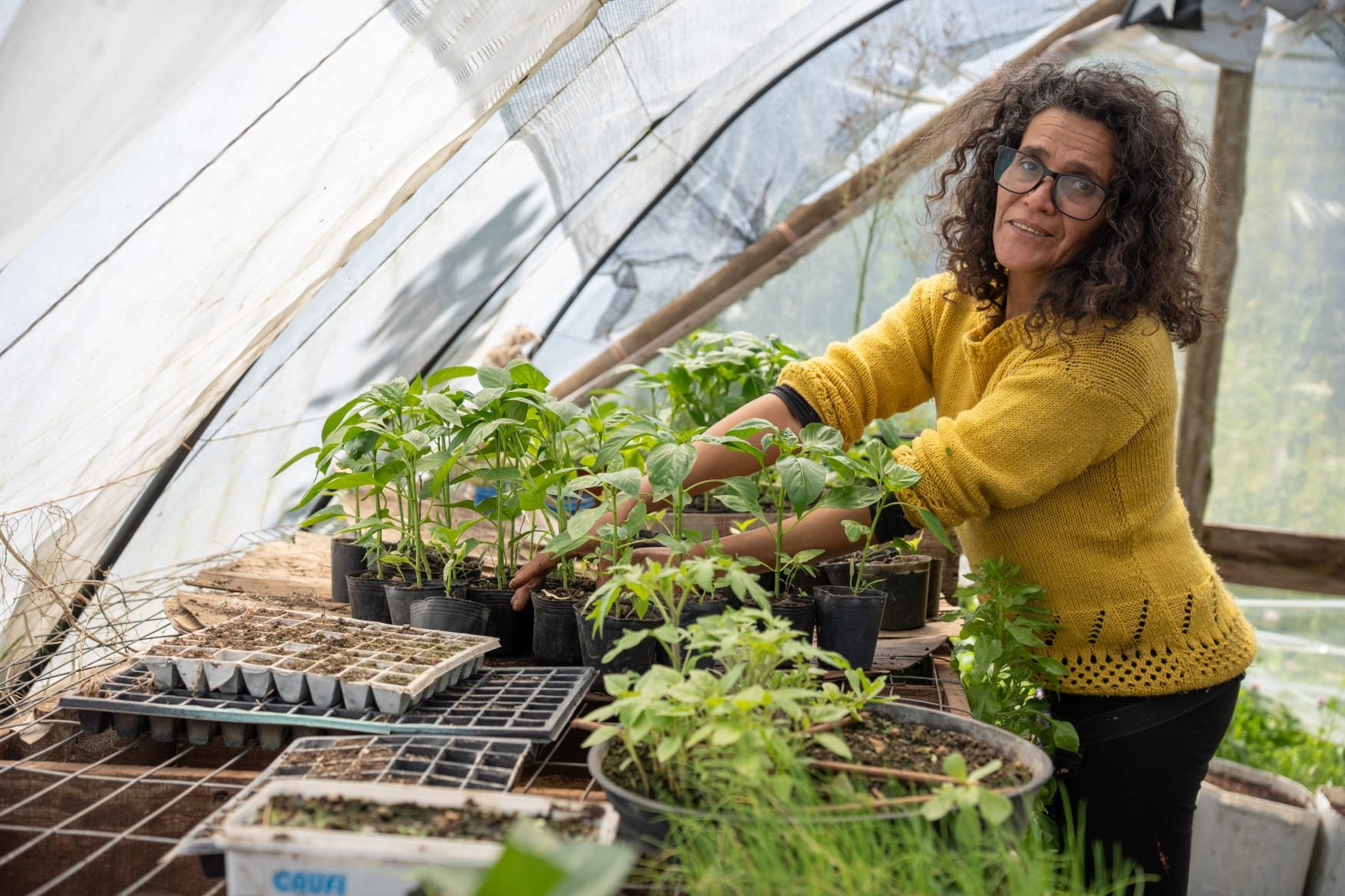 Vivero y plantines